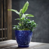 宣福 Керамический цветочный горшок, большой креативный корсет на тазовое кольцо, комплект, подходит для подростков