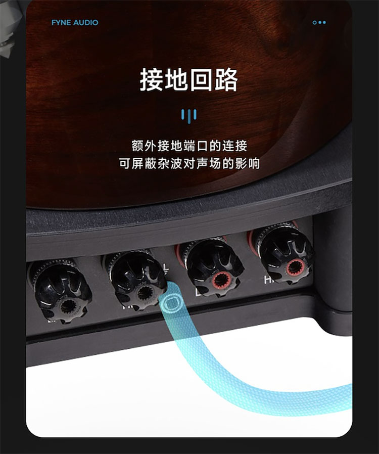 英国 FYNE AUDIO  F1-10S插图13