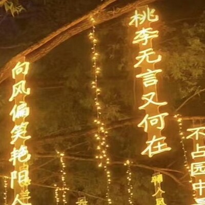 不夜城文旅亮化的LOGO