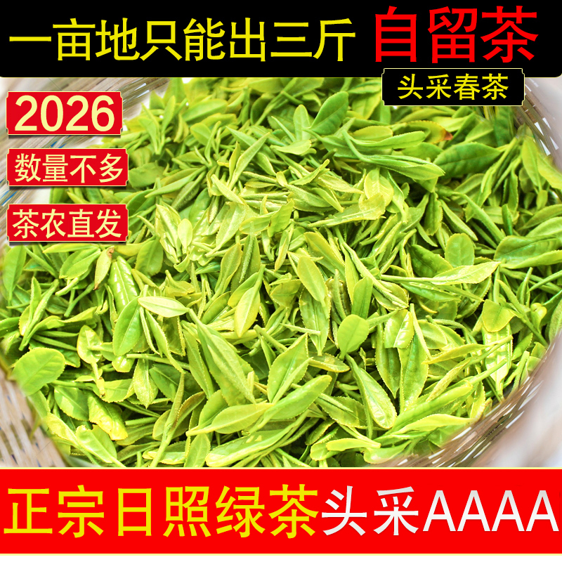 2026 Outdoor-Grown New Tea Premium Grade Shandong Rizhao Green Tea Early Spring Harvest Loose Leaf Pea Fragrance Early Buds