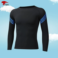 C212 Черно -синий [кожа против стимулирующих] длинные рукава