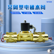 Соленоидный клапан 常阀电磁阀水阀2w025-08 2w040-10 2w160-15 2w200-20