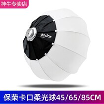 Spherical Spherical Light Spherical Spherical Spherical Light Live Spherical Light Fitting Lamp Cover Lamps Cover