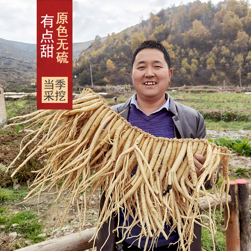 Danggui Ge Codonopsis 500g g Wild Dry Goods Dangsheng Dangsheng Dangshen Big Strip Premium Astragalus Angelica Traditional Chinese Medicine Soup Material
