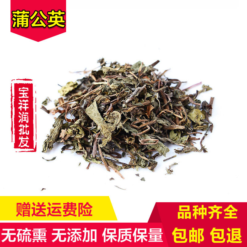 Chinese medicine new products new dandelion tea pure natural special grade 500g