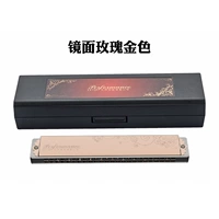 C Тон [Rose Golden Color] Рекомендация начальной школы+полный набор подарков