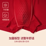 Красные трусы, раскраска, оберег на день рождения, хлопковые шорты, подарочная коробка