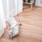 Игрушка с колокольчиком, колокольчик, комплект, кот, домашний питомец, полный комплект