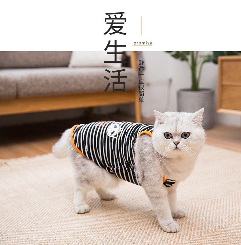 Quần áo mèo mỏng in hình thú cưng mèo vest Anh ngắn gấp tai mèo trang phục mùa hè mát mẻ thoáng khí - Quần áo & phụ kiện thú cưng 	áo thun cho mèo