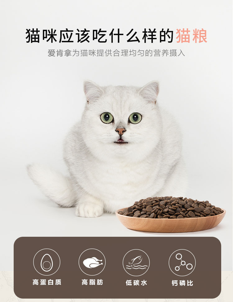 Love Kenna Cat Food ACANA Young Cat Canada Thung lũng nhập khẩu tự nhiên Deep Ocean Fish 1.8kg Mong muốn với nhà máy - Cat Staples thức ăn cho mèo catsrang