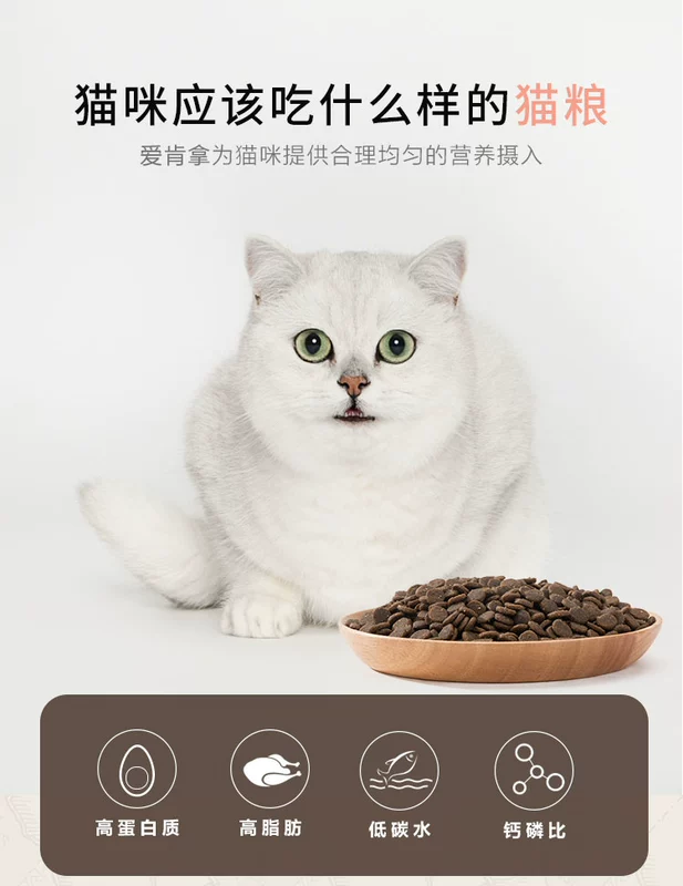 Love Kenna Cat Food ACANA Young Cat Canada Thung lũng nhập khẩu tự nhiên Deep Ocean Fish 1.8kg Mong muốn với nhà máy - Cat Staples