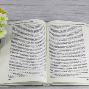 当代外国文学研究文集 文学批评话语中的思想 陈永国 编 文学理论/文学评论与研究文学 新华书店正版图书籍 清华大学出版社
