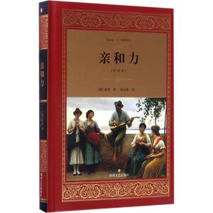 亲和力全译本 (德)歌德 著；杨武能 译 现代/当代文学文学 新华书店正版图书籍 四川文艺出版社