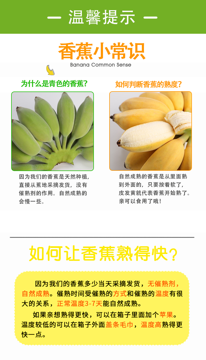 广西小米蕉 带箱10斤 蕉园现割先发 图6