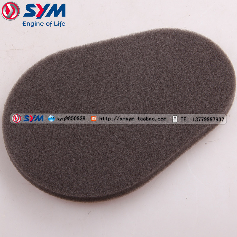 SYM Sanyang RV250 Cruise 300 Nine Sister F XS300T-2 Filter Left Line Drive Cover Sponge