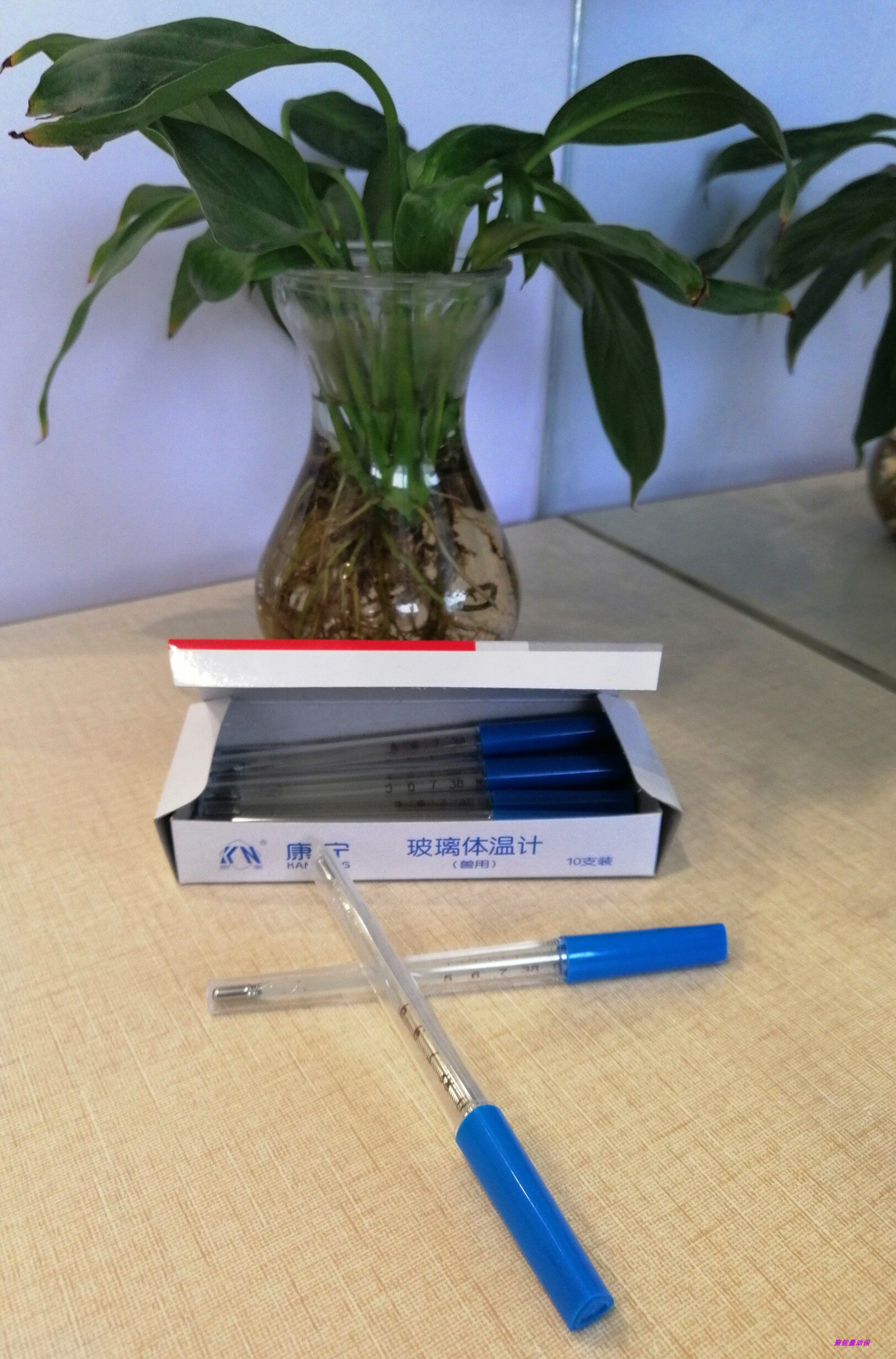 水银体温计玻璃老式家用通用测体温发烧温度计高精度测量温度兽用：🌟精准测量，全家健康守护者！🔥-体温计-淘宝好物网