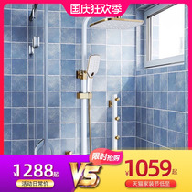 Noble platinum shower set household constant temperature shower household full copper shower nozzle pressurized back spray five gears