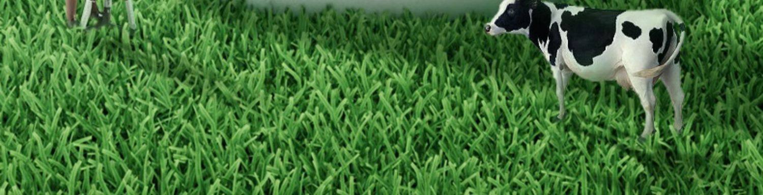 【中国直邮】 孕味食足 牛奶片 孕妇零食高钙高蛋白儿童奶贝孕期奶酪营养 60g/袋