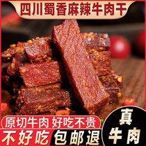 Not delicious back] Sichuan hand-torn spicy beef jerky Shuxiang spicy cold food 500g official flagship store