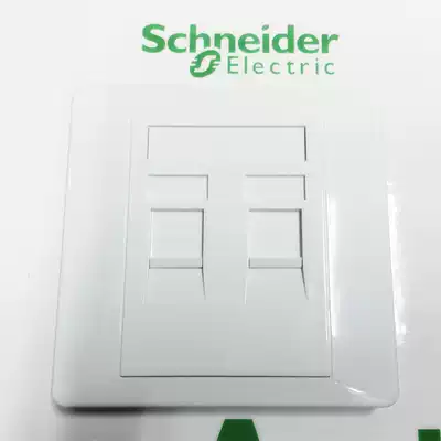 Schneider Network double Port Panel Type 86 two computer phone information socket network route crystal head wall plug board