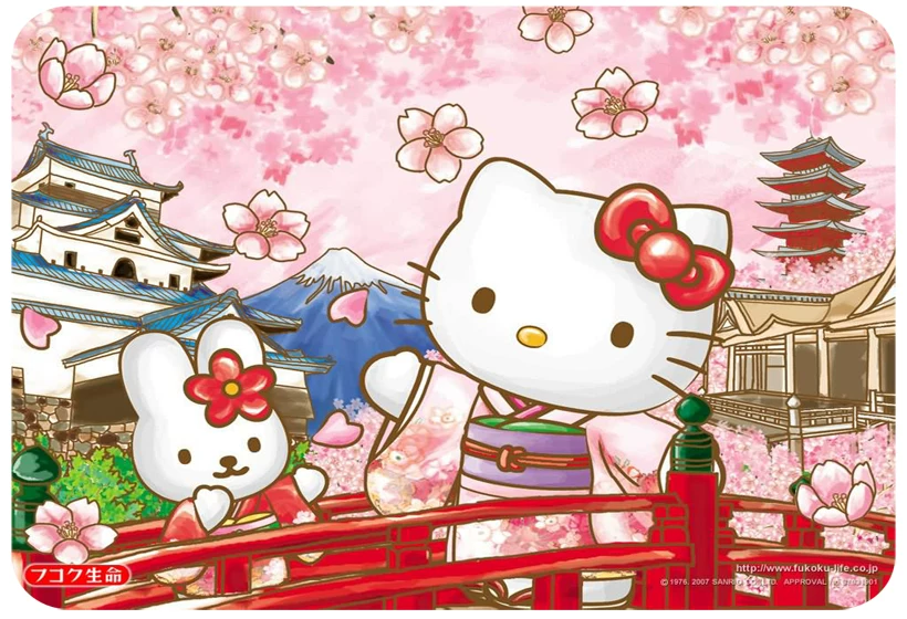 Hello kitty, cartoon laptop for students, custom-made