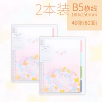 Anty -luo B5/2 книга