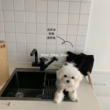 Хороший порошок мини -награда цена мини -девочка весна цвета сплошной цвет повседневная милая сумочка холста