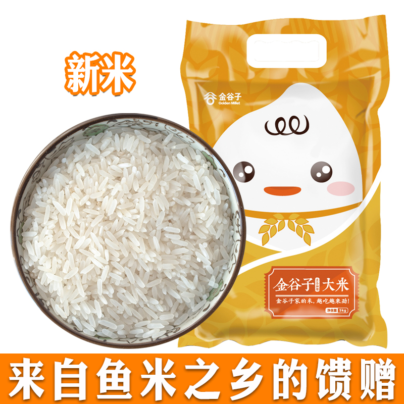 2021 new rice small grain long grain 10 kilograms of rice rice 5kg silk Miao Minami square rice farmhouse self-produced non-northeast rice