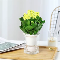 Качественный большой горшок для желтых цветов (цилиндрический самовсасывающий) (купи 2 и получи лейку в подарок)