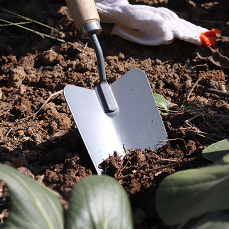 Potted tools small shovel gardening flower planting succulent planting three-piece household shovel shovel nail rake set