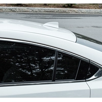 Применимо к Honda Ten Generation Civic FIN, девяти генераторной аккюрсии SISI Platinum Paint Model Model Decormation Free Point