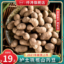  Iron stick yam beans fresh 5 kg yam beans large yam eggs extra large sugar gourd special snacks Jiaozuo Henan
