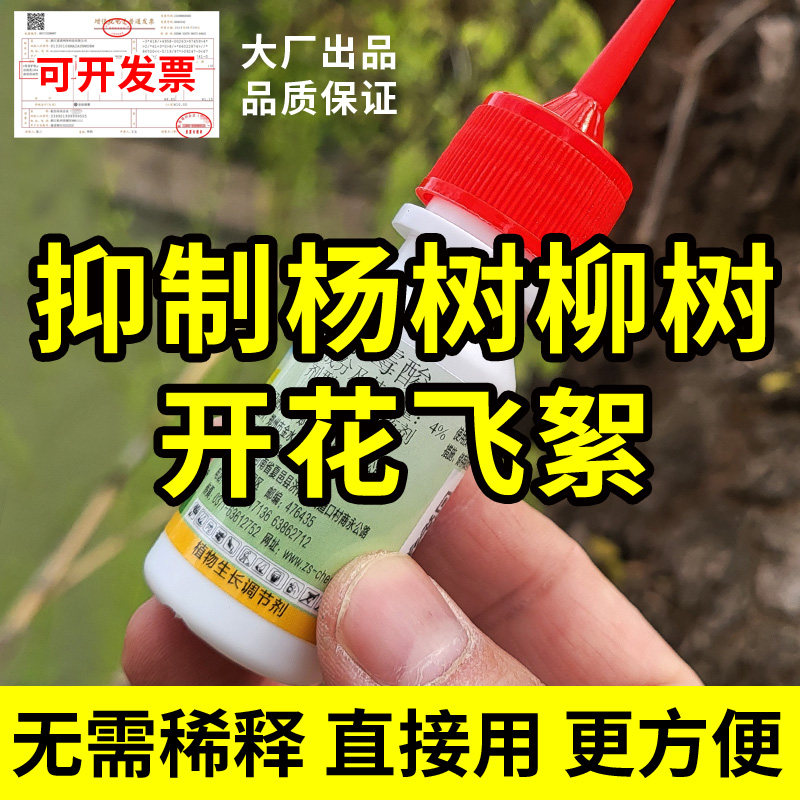 柳絮杨絮终结者?赤霉酸抑絮灵真的这么神吗?🌿-花卉药剂-淘宝好物网