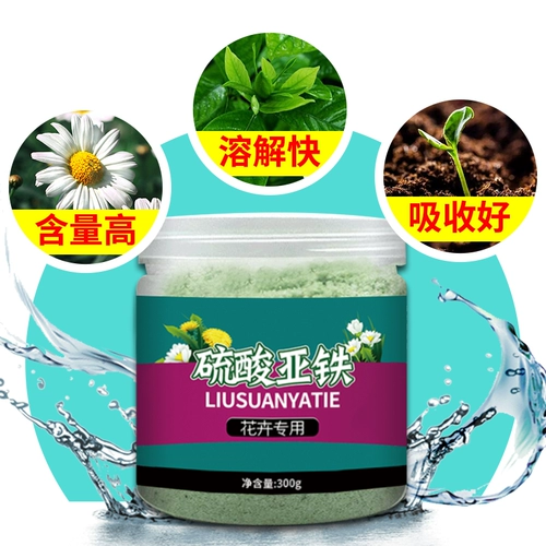 Сульфат сульфат раствор сульфат сульфат сульфарный железо цветочные удобрения Универсальные цветы удобрения для предотвращения домашние удобрения желтых листьев