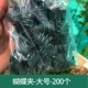 Бабочка-клип-ларж-200