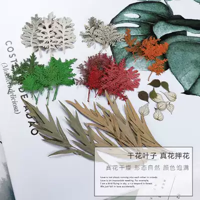 Qiulan DIY crystal glue dried flowers and leaves Epoxy resin AB glue handmade material real flowers and leaves pressed flowers