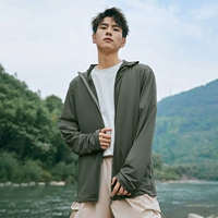 Сосна и кипарисовый зеленый