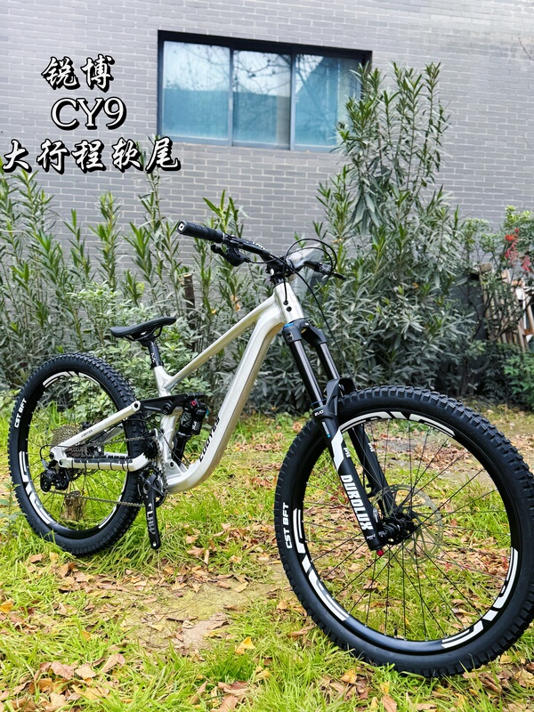 Winbo Rui Bo Long Travel Cy9 Aluminum Alloy Soft Tail Bicycle Complete Mountain Bike with Santuo Fox Suspension