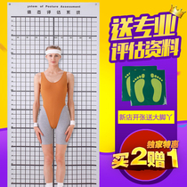 Posture chart Gym body posture posture assessment chart Yoga body posture assessment table Standing posture assessment posture chart