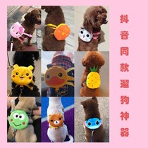 Pet self-carrying small bag small dog dog chain medium leash Corky Teddy dog self-backpack Dog BackPack