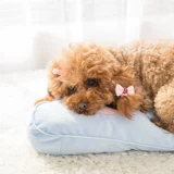 Аксессуар для волос, галстук-бабочка, заколка для волос с бантиком