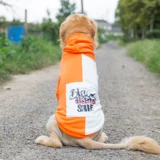 Tide Brand Big Dog Pet Одежда, собаки, золотисто -ретривер осенние костюмы, хаски саммеллабра, большая собака осень и зимняя одежда