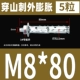 M8*80 (5)