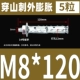 M8*120 (5)