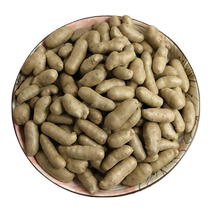 (Jumbo-jumbo) 2023 Légère petite bouche blanche authentique fève de yam bean hyacinth yam bean bébé covets