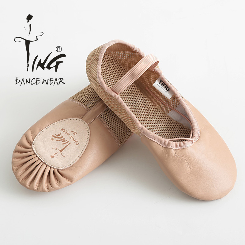 Chen Ting Net breathable ballet shoes female soft sole practice shoes shape cat claw shoes male black dancing shoes adult