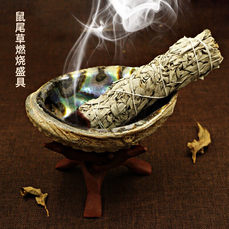 Natural Abalone Bay Sainwood Stents Sage Sage Purifying Container Burning Sein With A Swing Piece