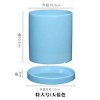 Прямой тип-голубой 18,5 см.