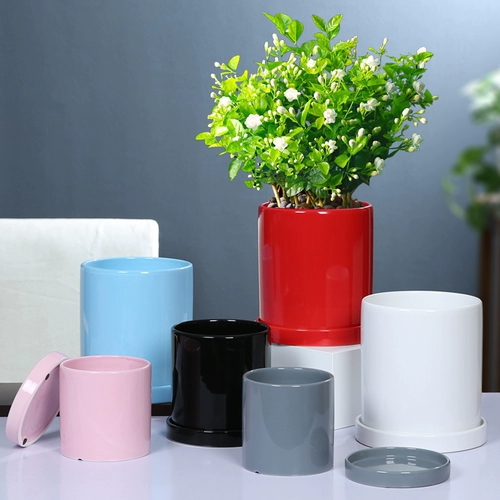 Керамический в северном стиле Простые цилиндрические черно -белые световые пояса отделяет лоток сочный зеленый укроп зеленое растение