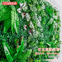 Арахисовая трава с черепахой